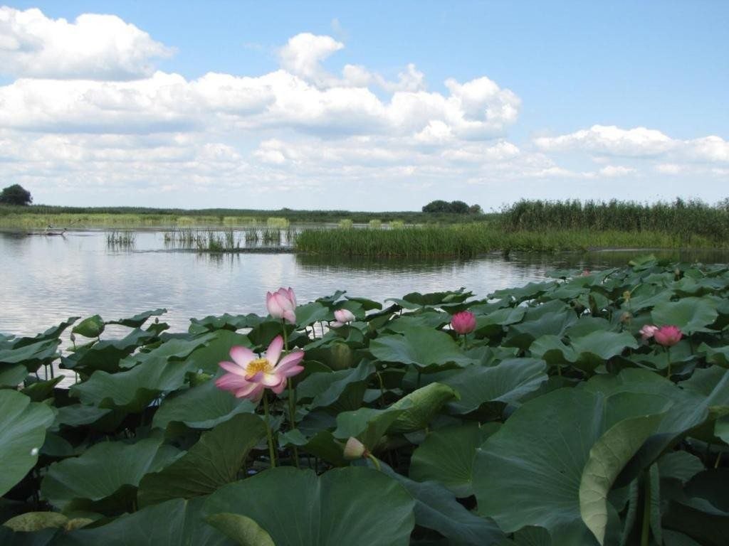 Астрахань - природа